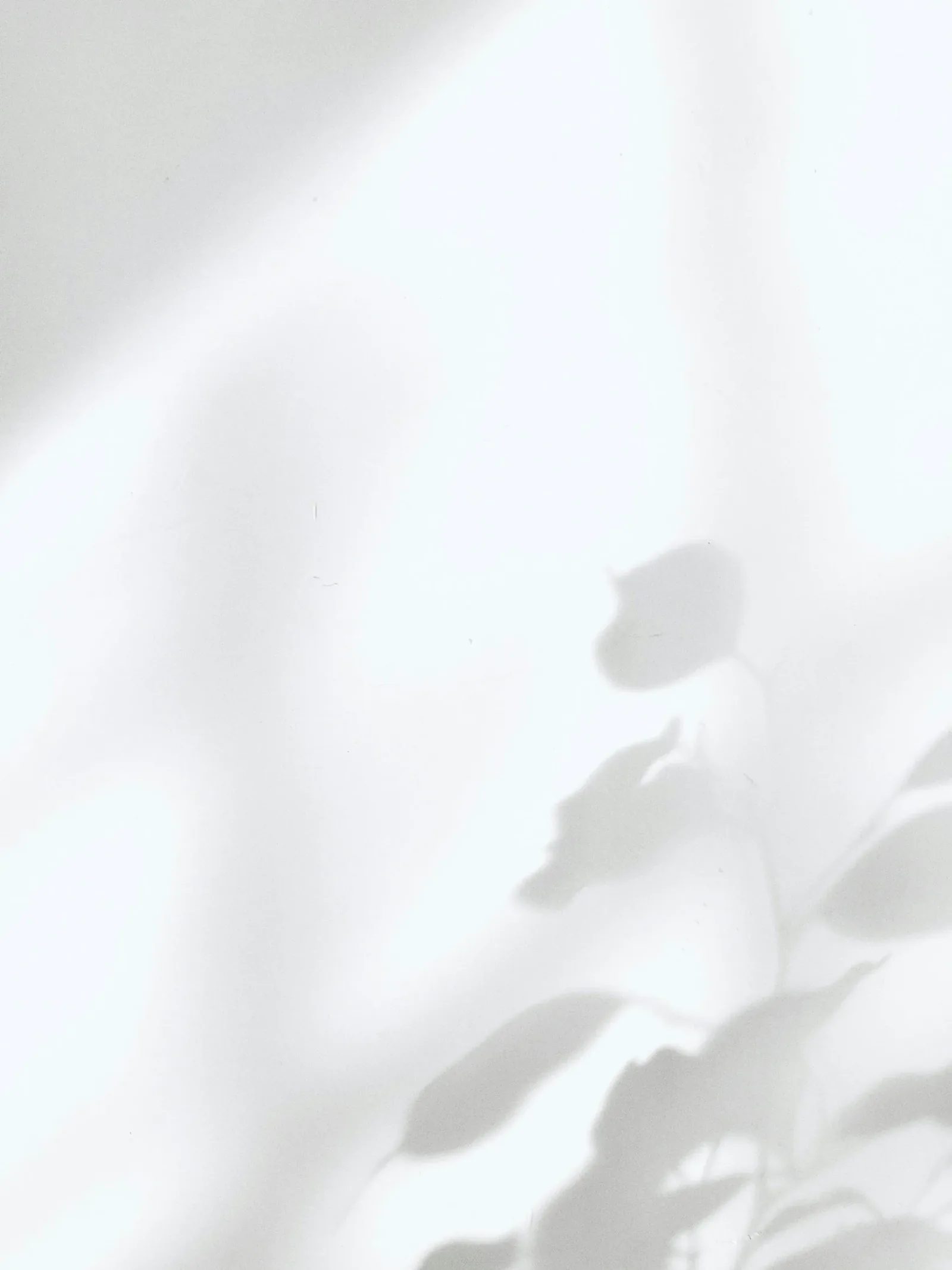 Design inspiration, Timeless Whites project
